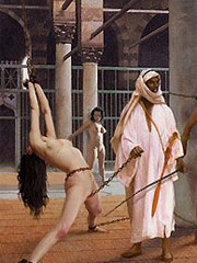 Slaves haven't enough time to learn obedience their masters!